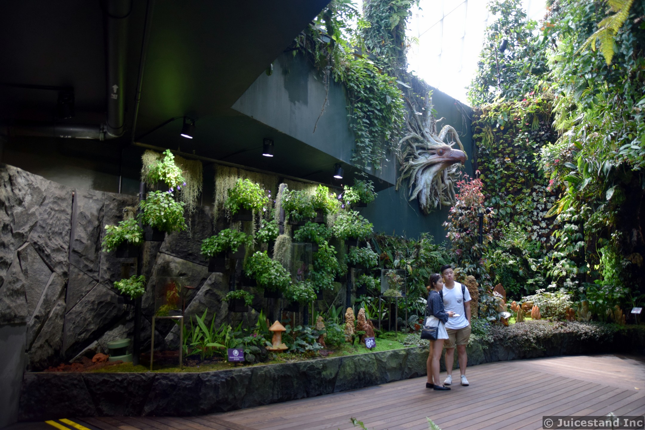 Secret Gardens Cloud Forest