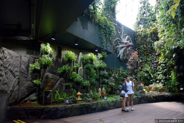 Secret Gardens Cloud Forest