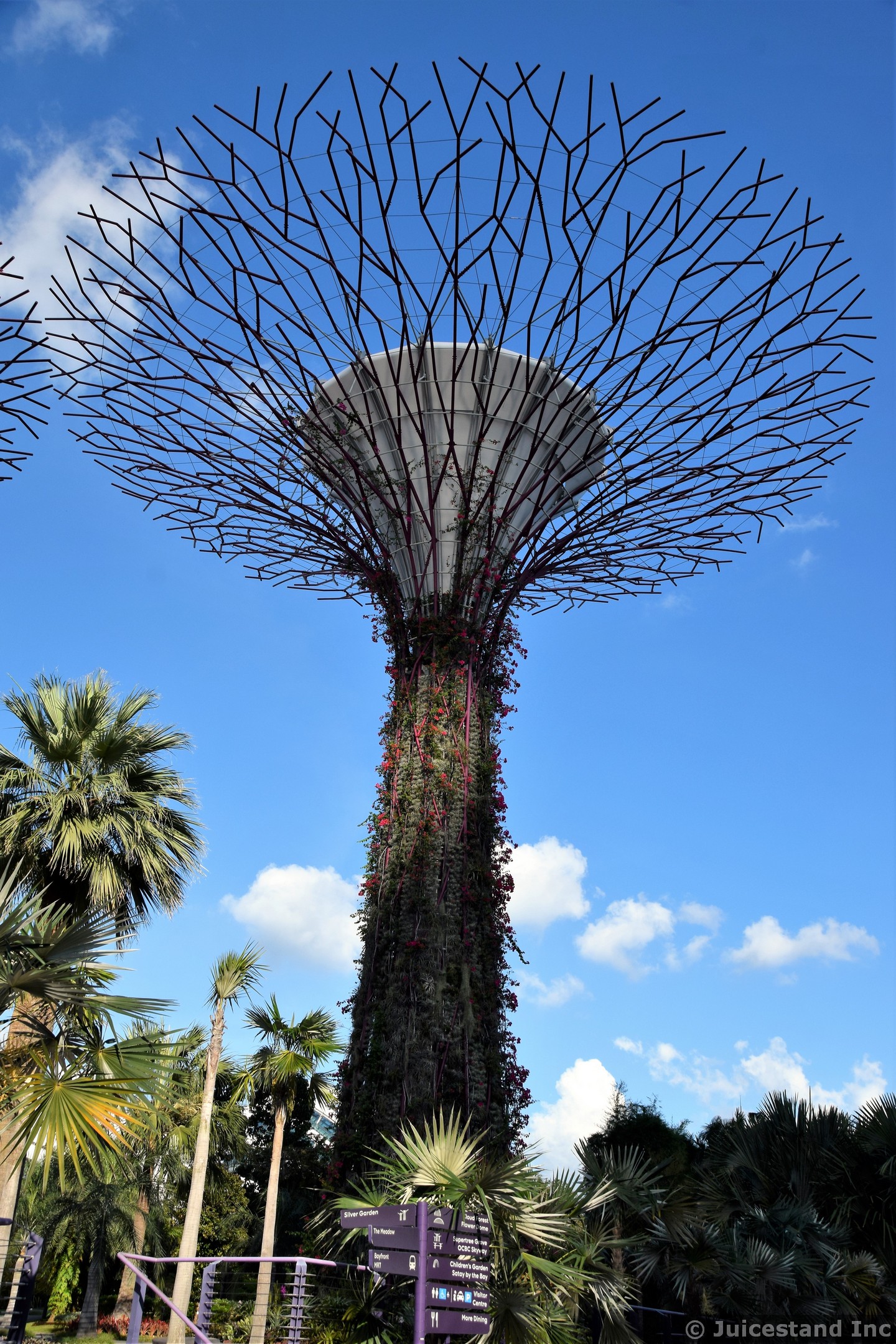 Silver Garden Supertree Gardens by the Bay