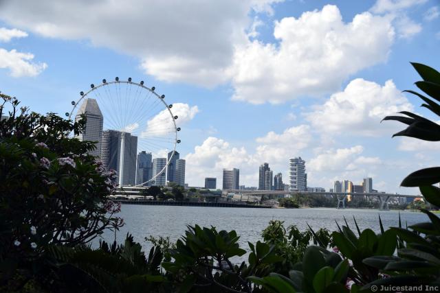 Singapore Flyer Across Marina Bay