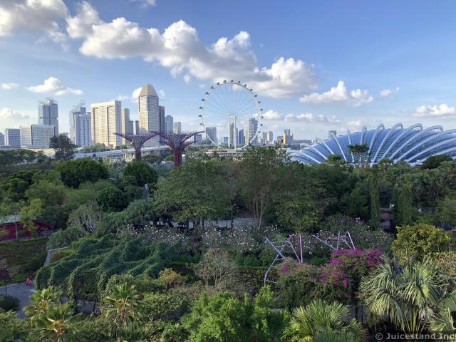 Singapore Skyline Seen from OCBC Skywalk