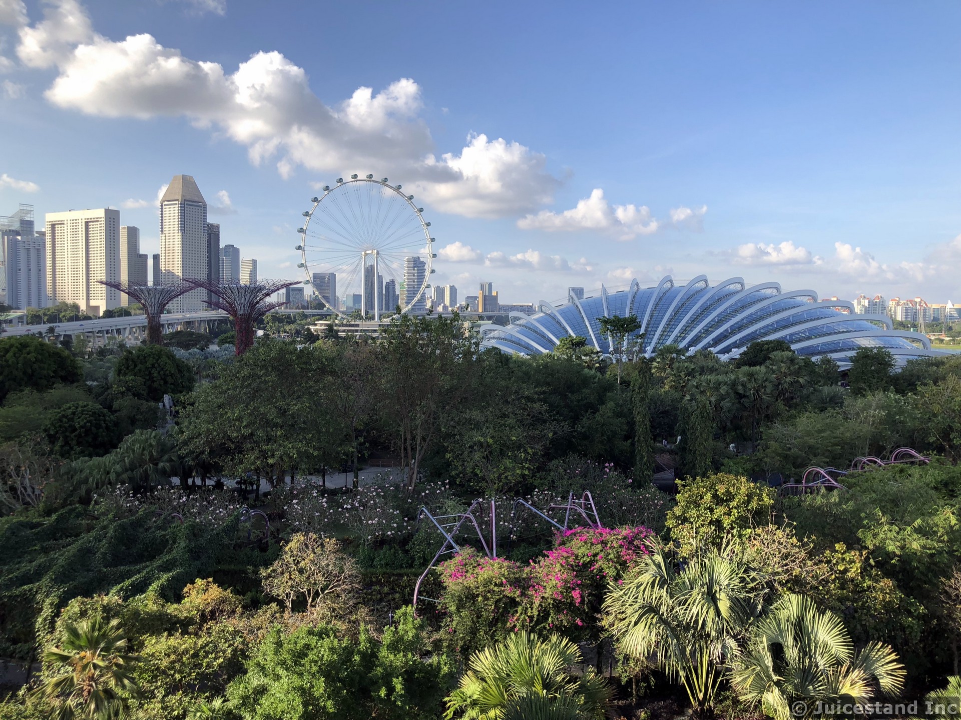 Singapore Skyline Viewed from OCBC Skywalk