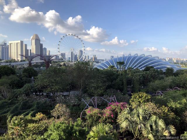 Singapore Skyline Viewed from OCBC Skywalk