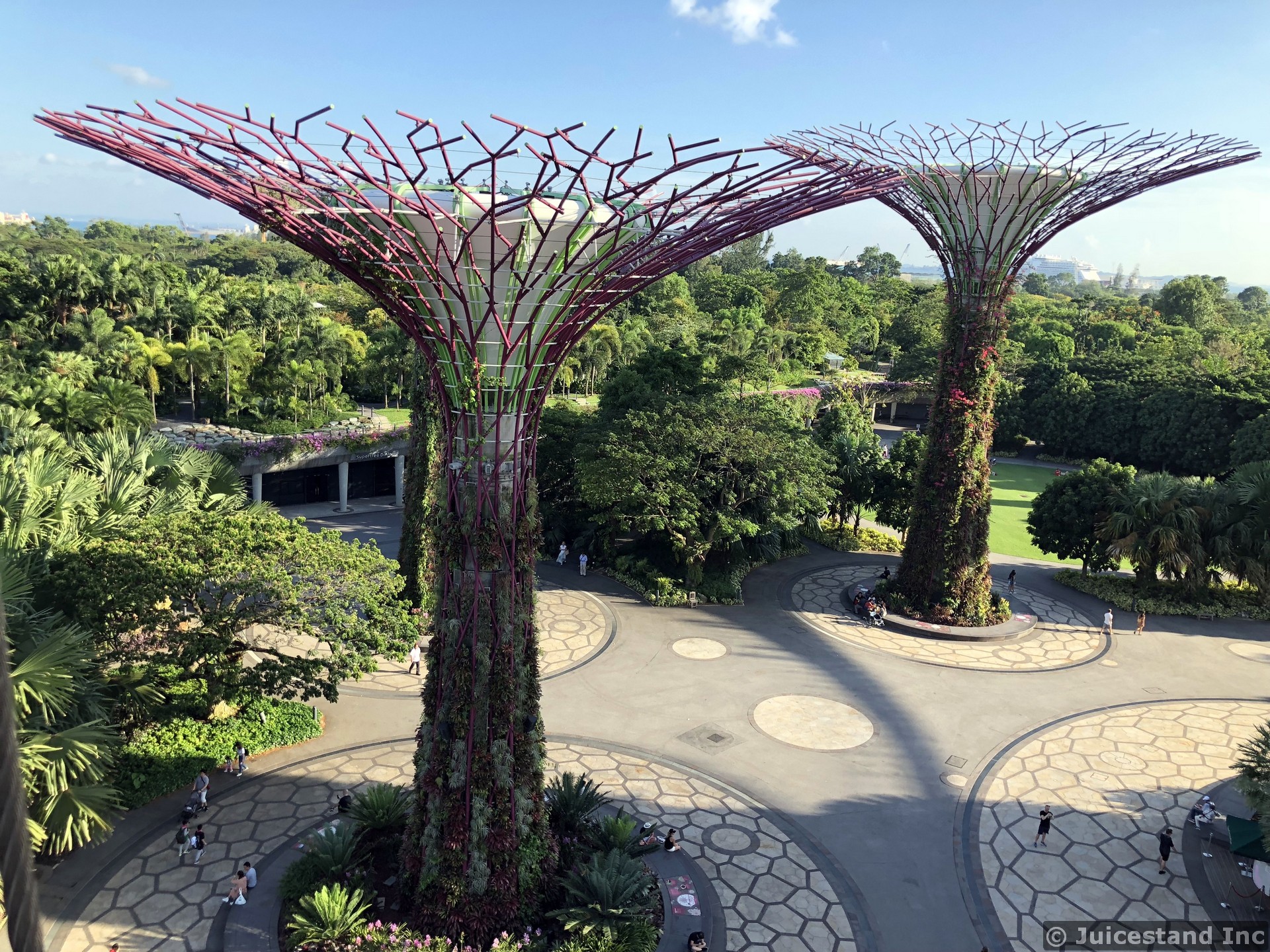 Super Trees Seen from OCBC Skyway
