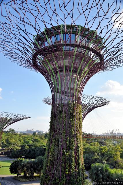 Supertree & OCBC Skyway