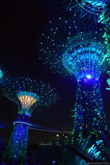Supertree Grove Light Show Gardens by the Bay