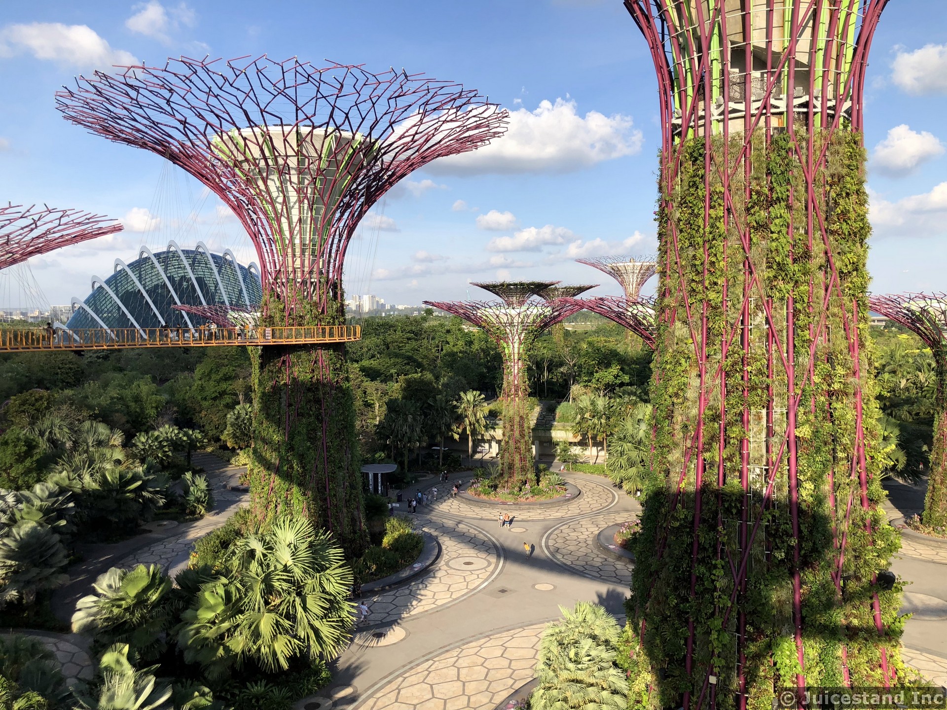 Supertree Grove