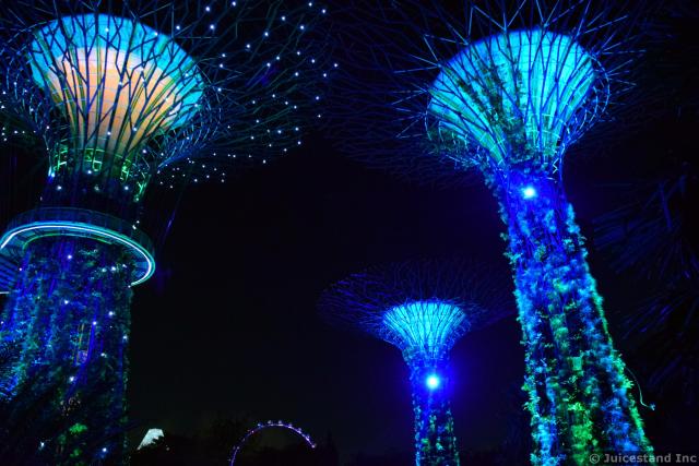 Supertrees Light Show Gardens by the Bay