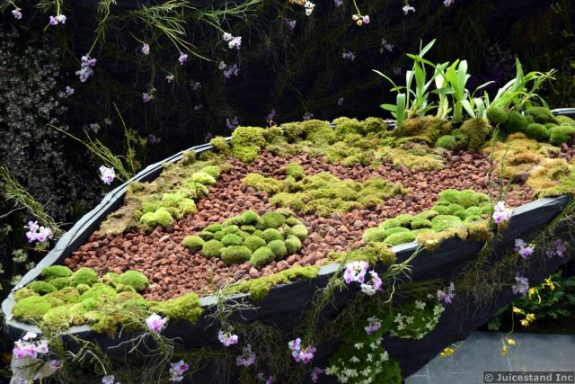 Top of Canyon Garden Platform