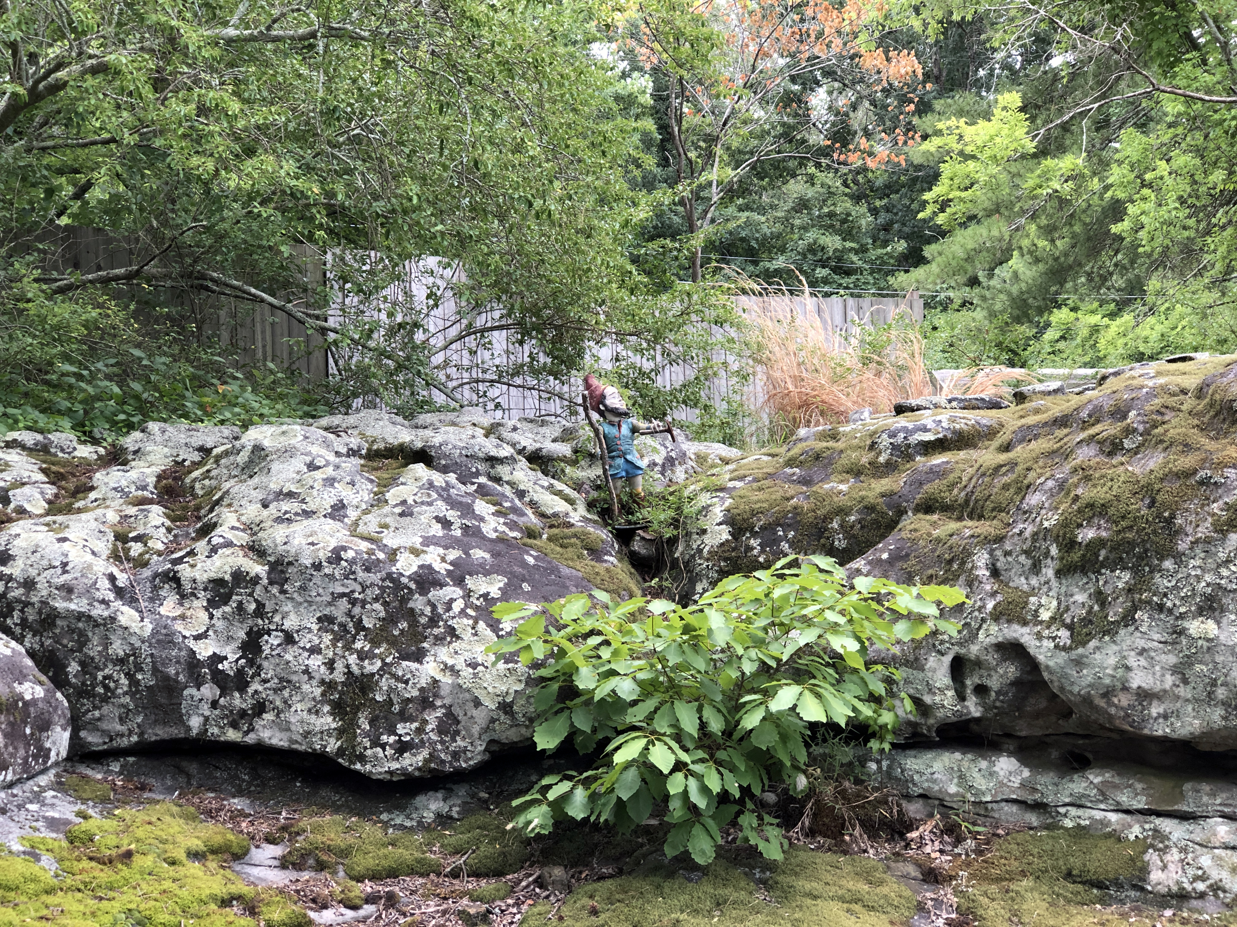 Garden Gnome Looking Upwards