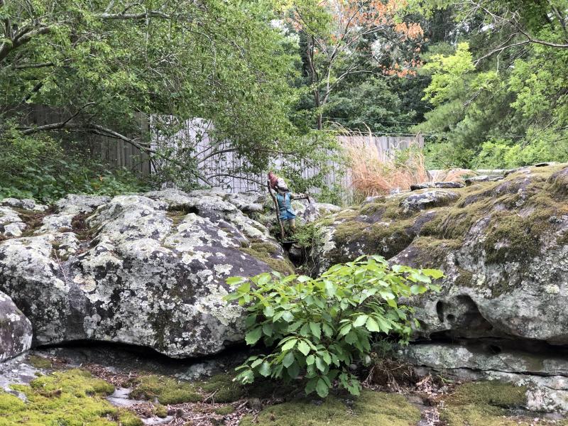 Garden Gnome Looking Upwards