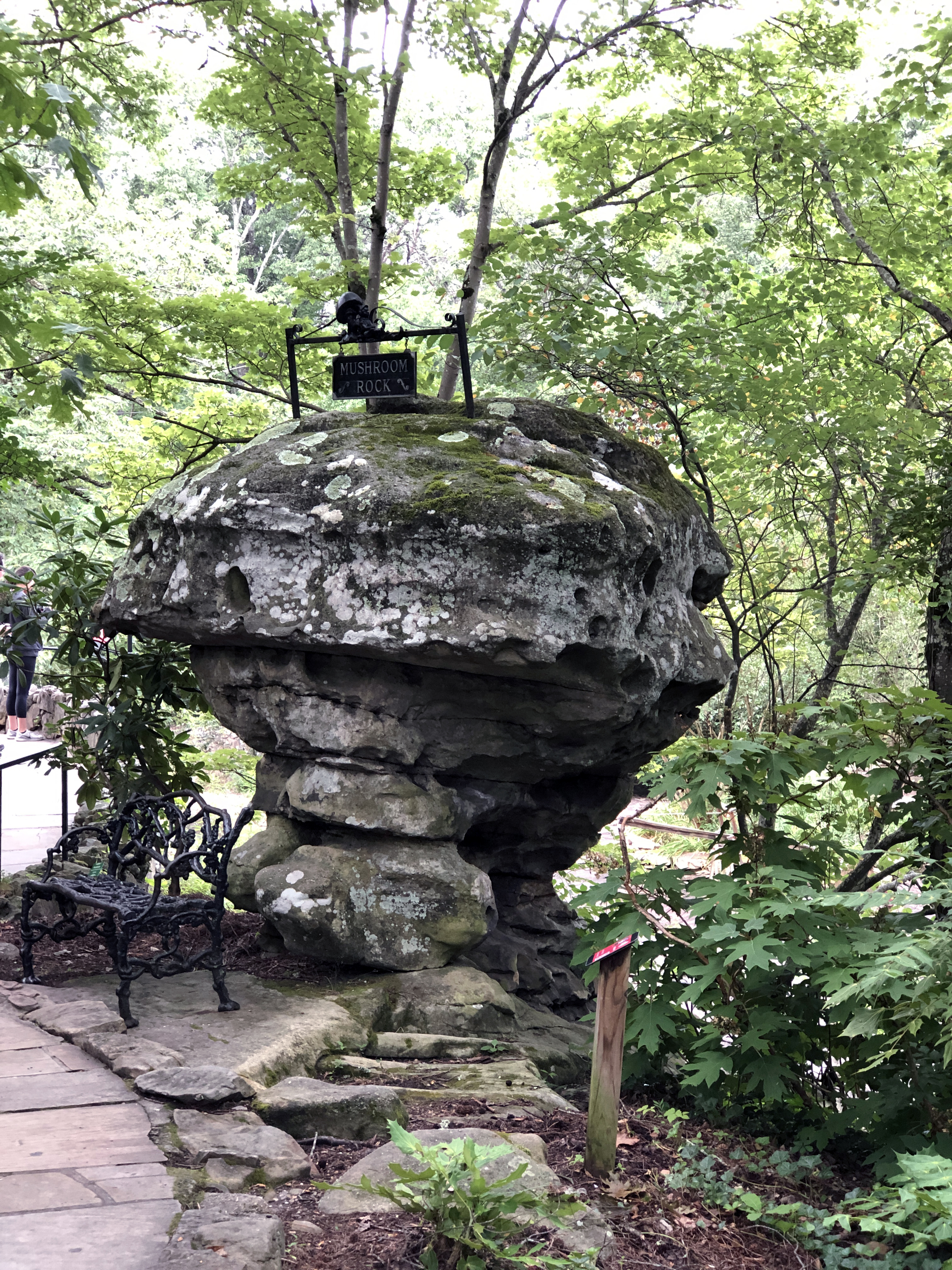 Mushroom Shaped Rock