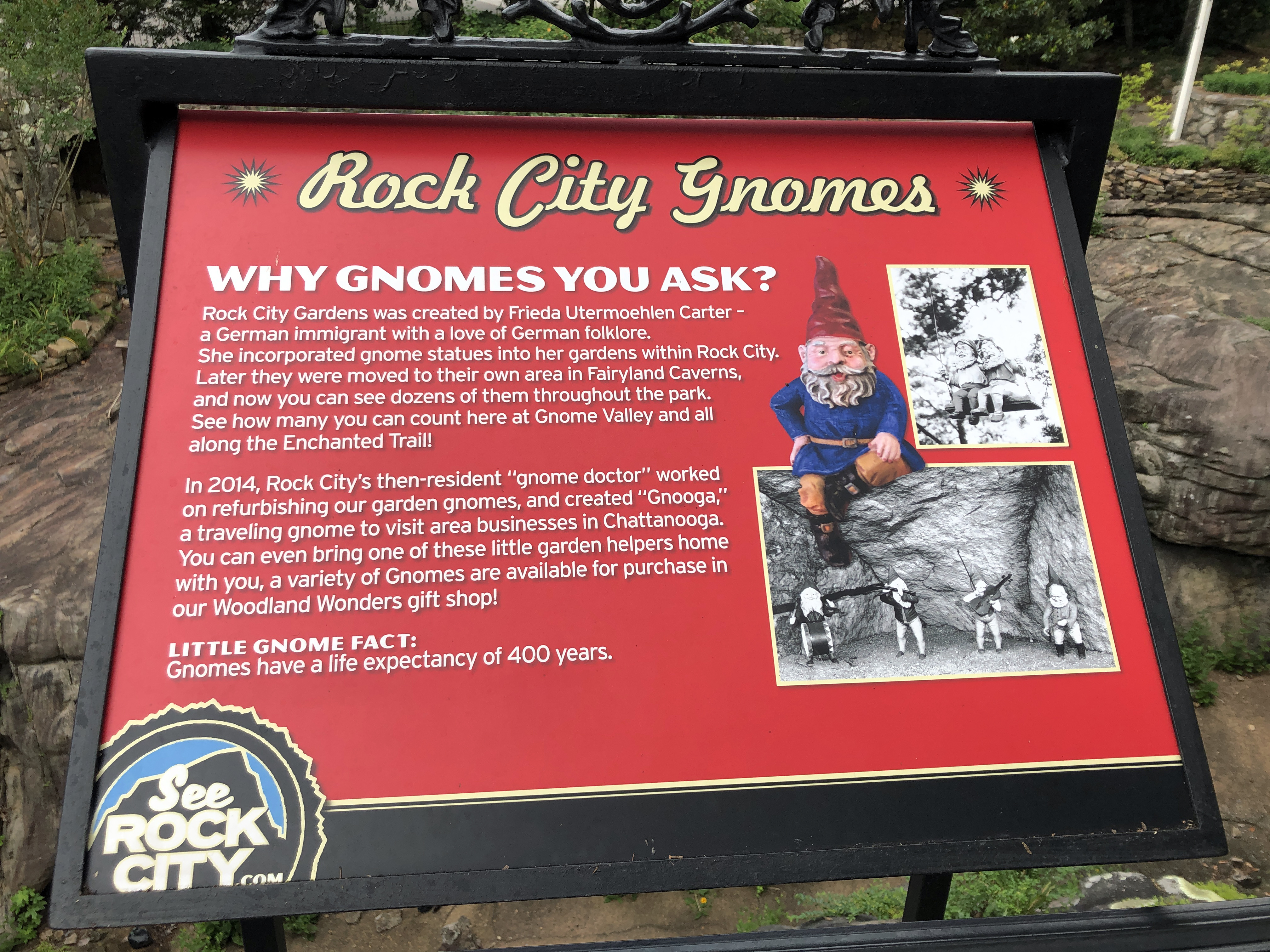 Rock City Gnomes Info