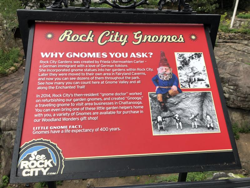 Rock City Gnomes Info