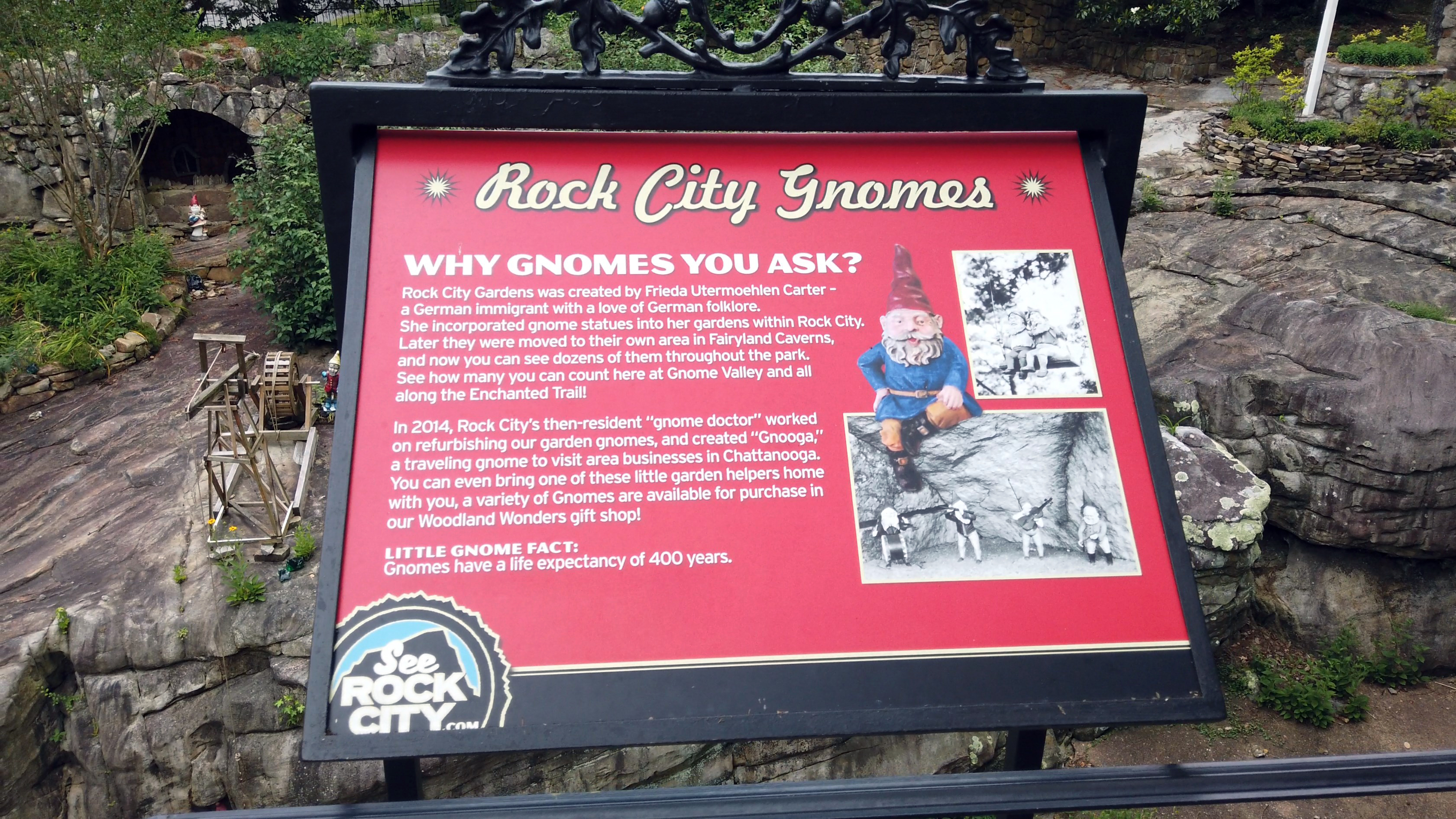 Rock City Gnomes