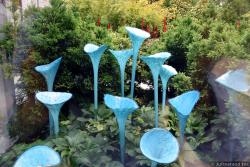 Chihuly Garden & Glass Photos