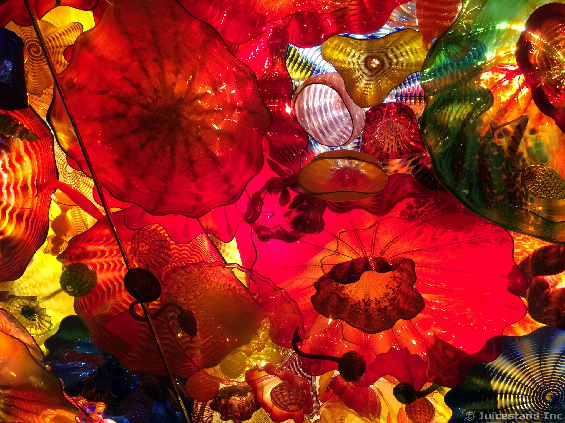 Close-Up of the Glass Sculpture Ceiling