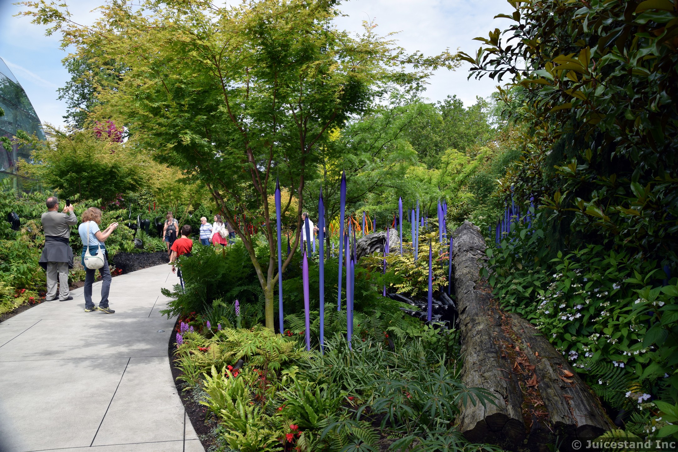 Guests Enjoying Chihuly Garden