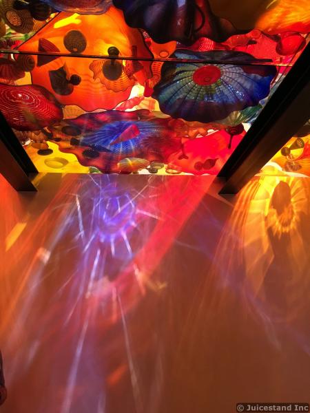 Lights Display of Glass Sculpture Ceiling