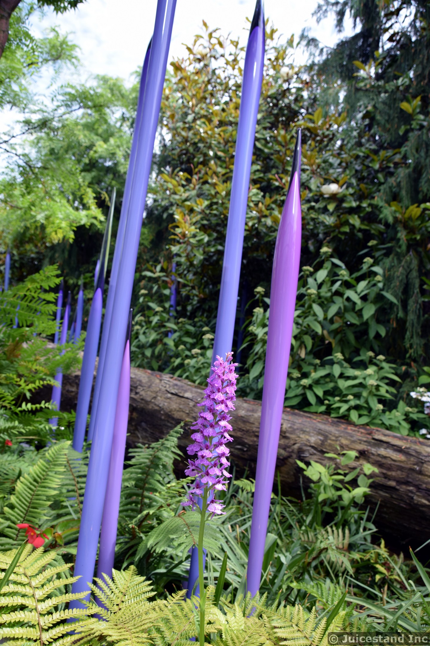 Southern marsh-orchid flower and Pencil-like Glass Sculptures