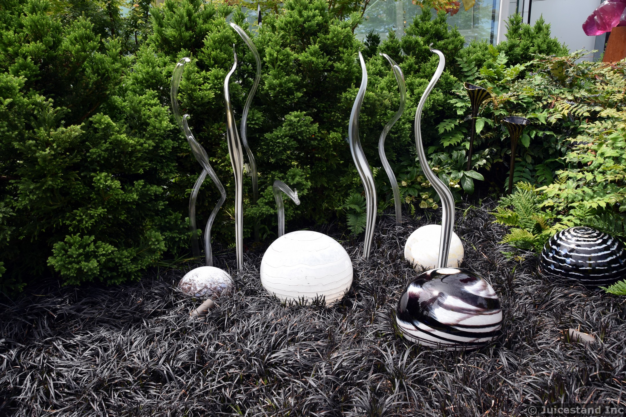 Tendrils and Eggs Sculptures at Chihuly Garden and Glass
