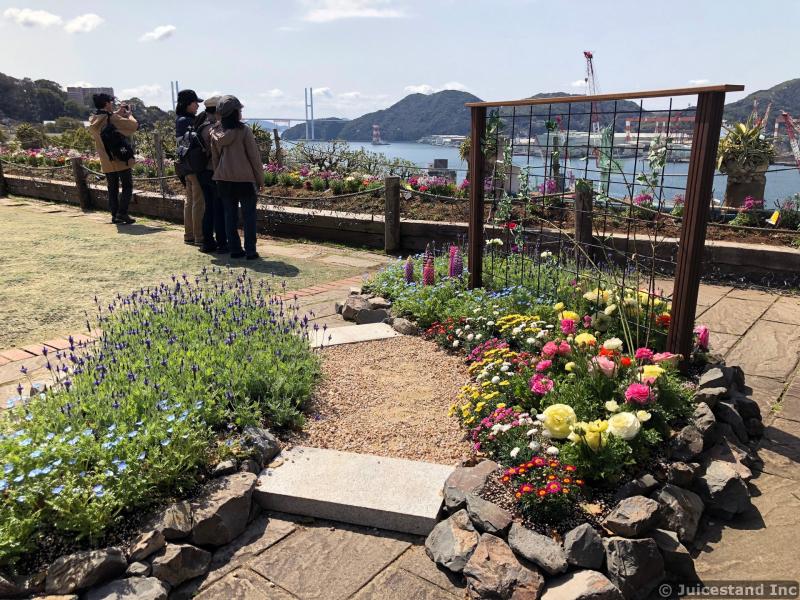 Colorful Flower Garden and Trellis