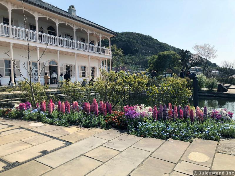 Colorful Flower Garden Next to Pond