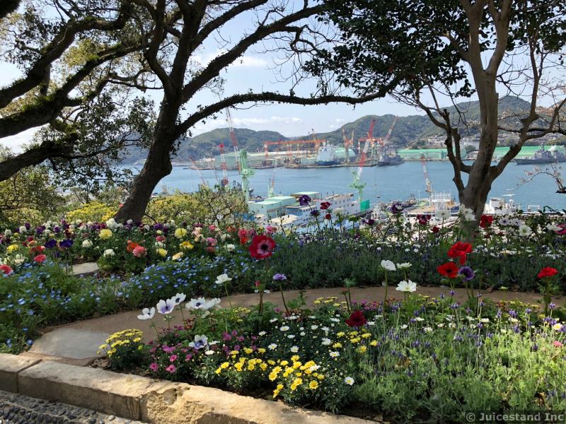 Colorful Flowers at Glover Garden