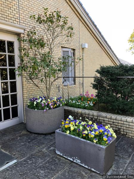 Colorful Flowers in Containers