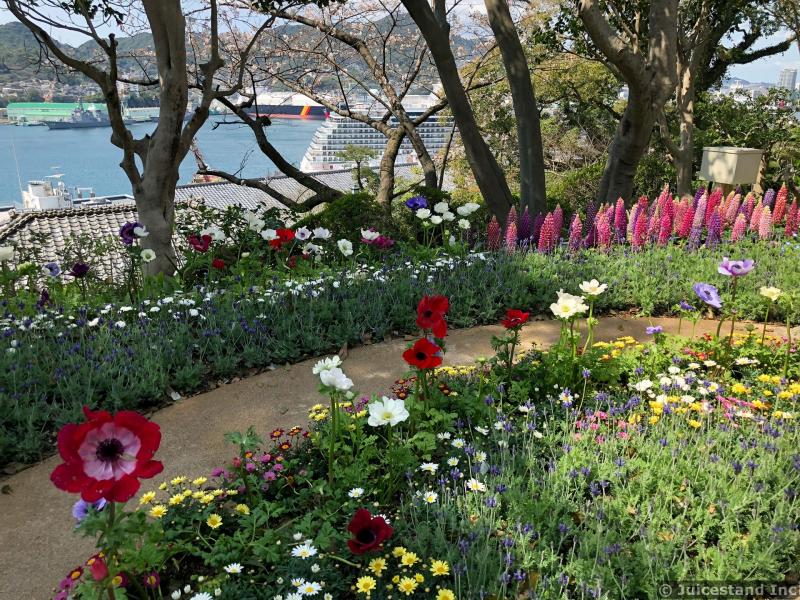 Flower Garden Overlooking Harbor and Cruise Ship