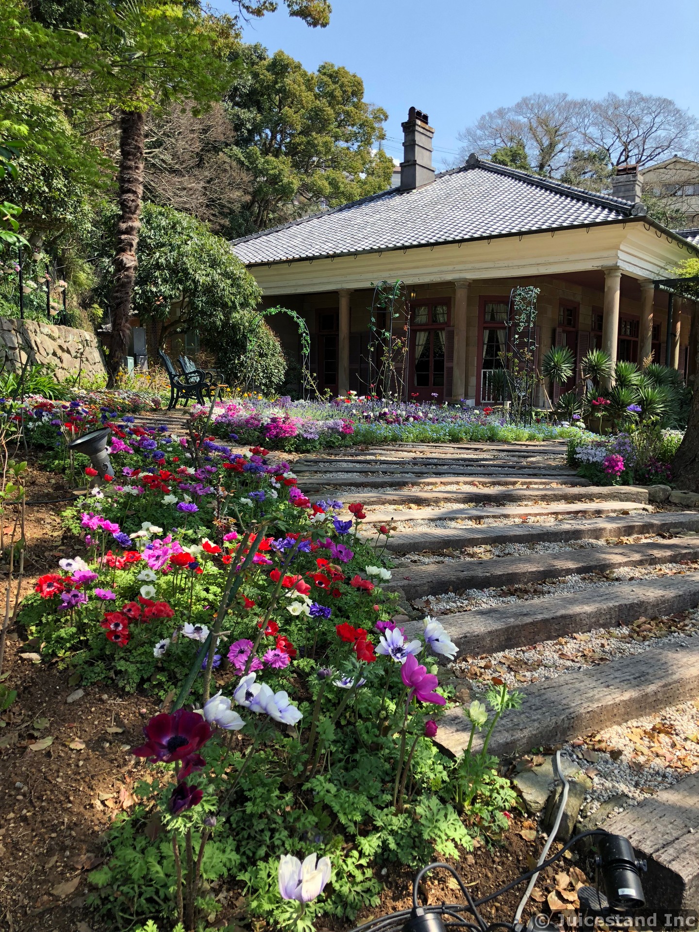 Flower Lined Walkway