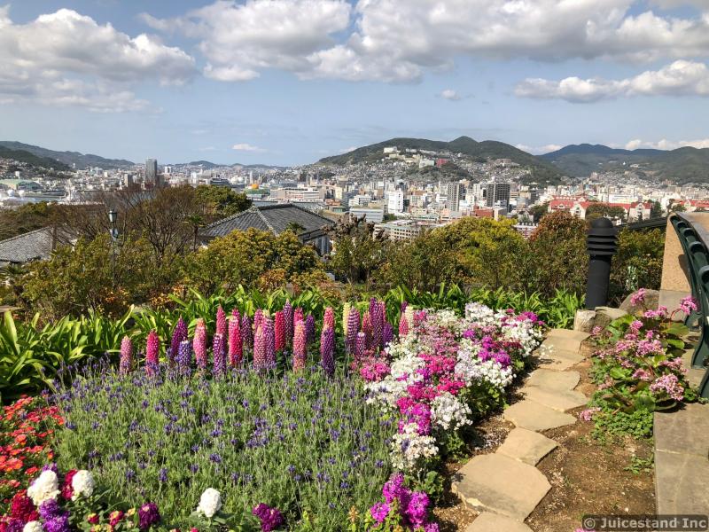 Flowers and Nagasaki Skyline