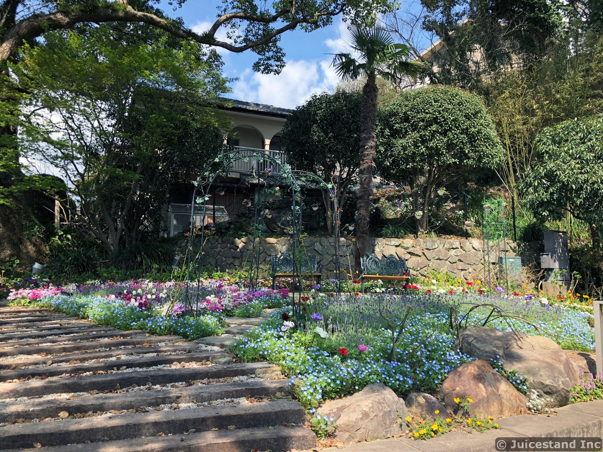 Garden with Trellis Next to House
