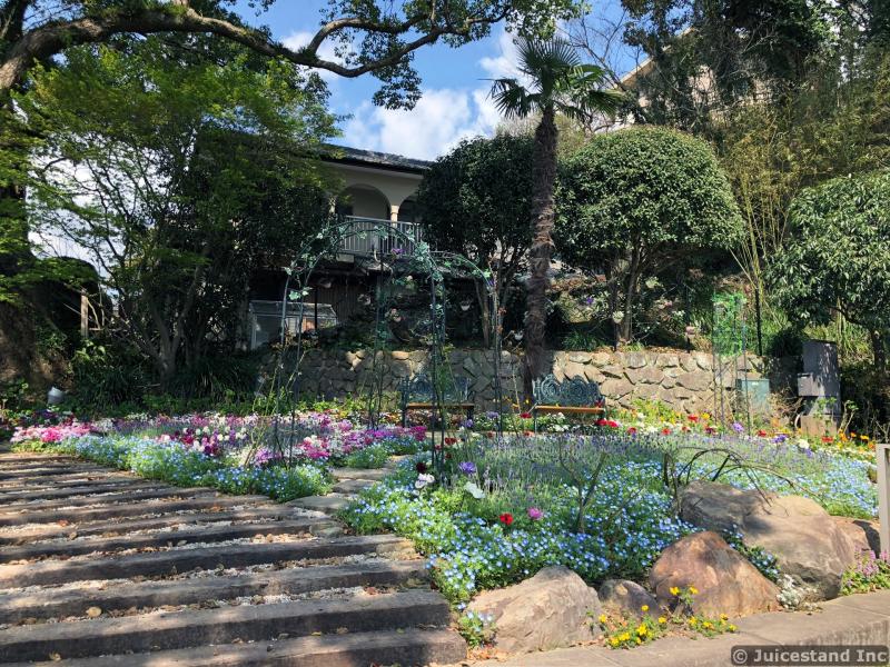 Garden with Trellis Next to House