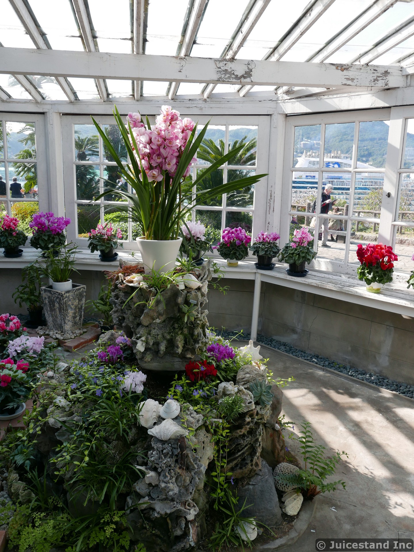 Green House Flowers of Glover Garden