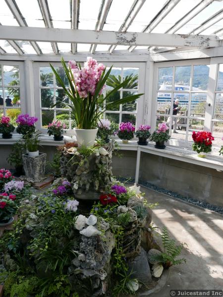 Green House Flowers of Glover Garden