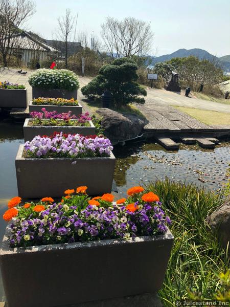 Rectangular Stone Planters in the Pond