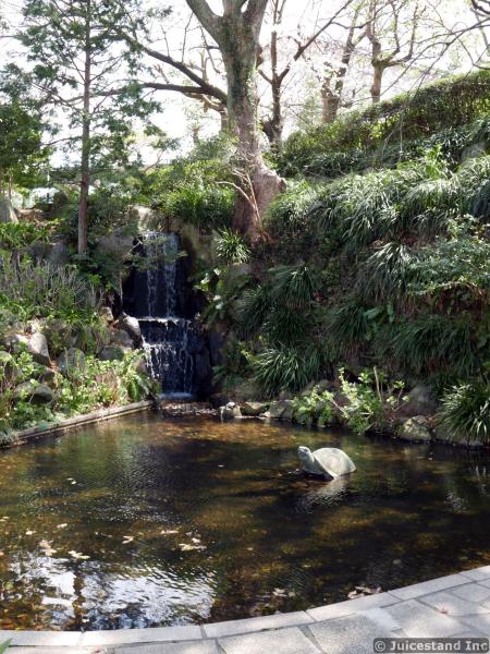 Turtle Sculpture in a Waterfall Pond at Glover Garden