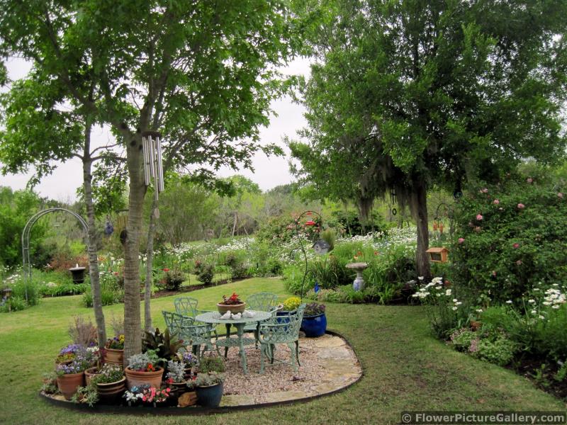 Amazing Backyard Garden