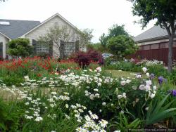 Beautiful Backyard Flower Garden