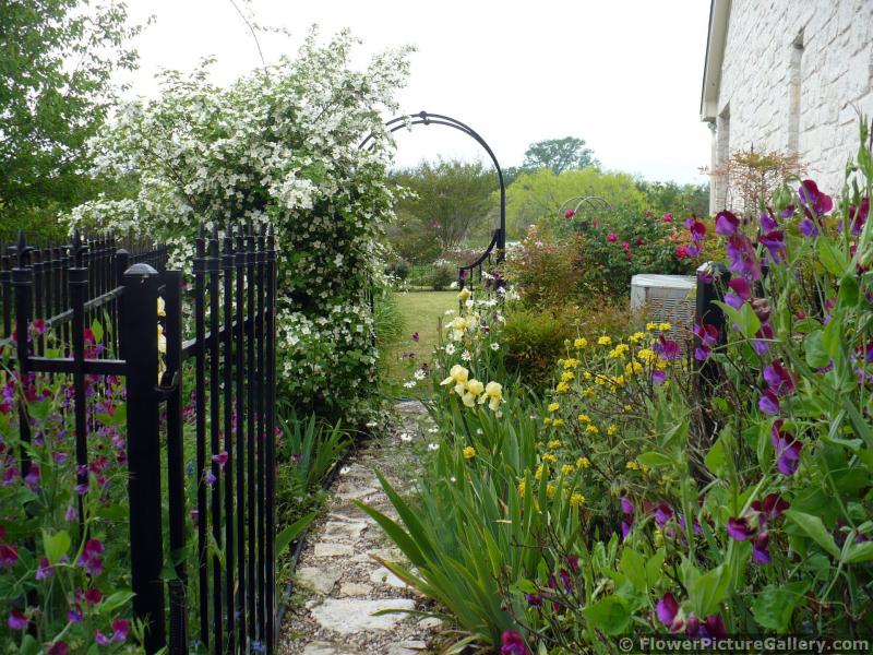 Beautiful Garden Entrance with Trellis Lined by Flowers