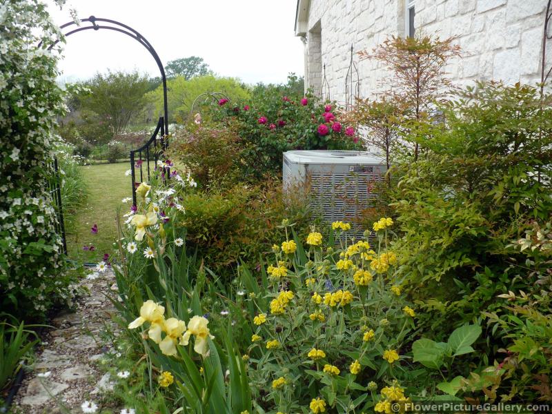 Beautiful Garden Surrounding Outdoor AC Unit