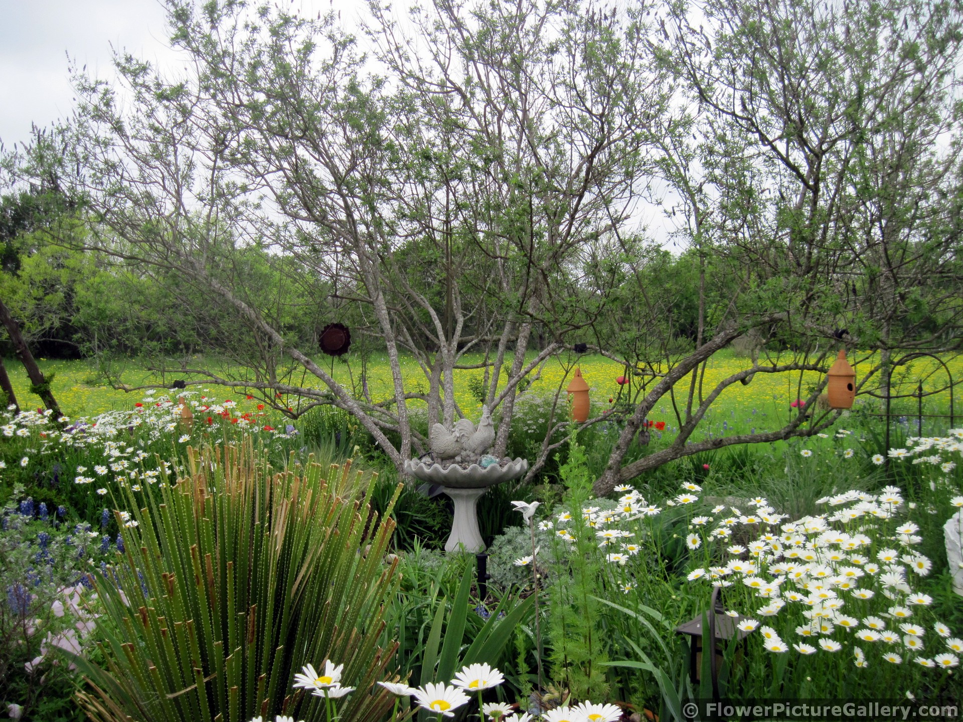 Beautiful Garden with Birdhouse Lanterns