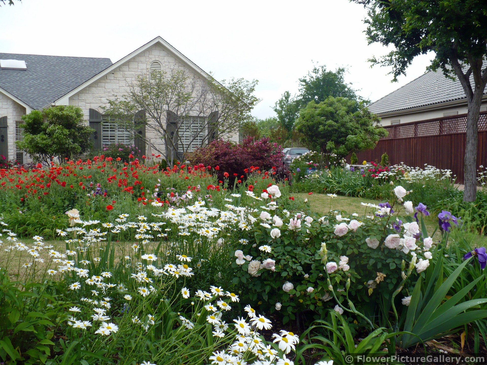 Beautiful Home Garden in Austin Texas