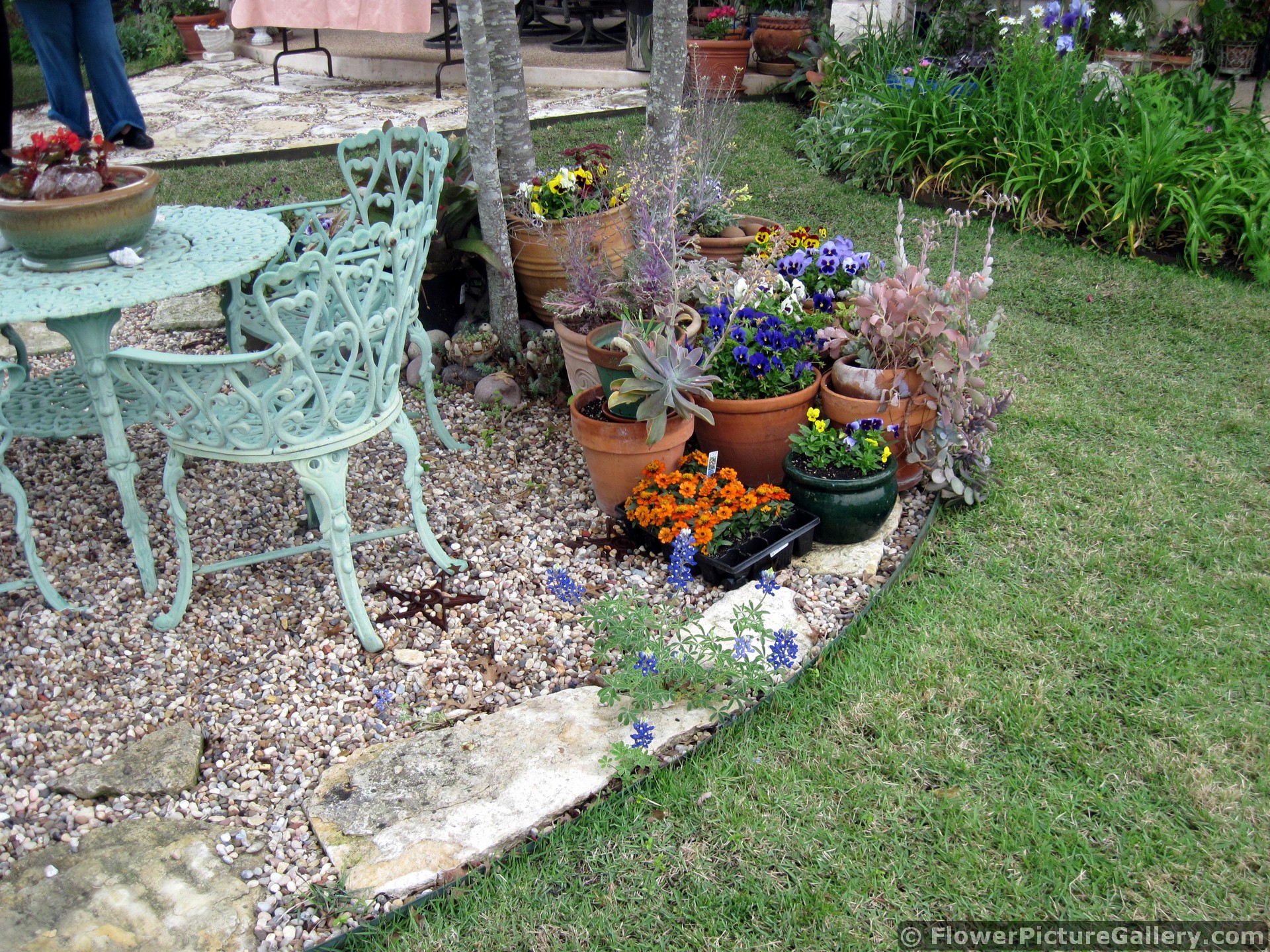 Container Flower Garden next to Patio Table and Chairs