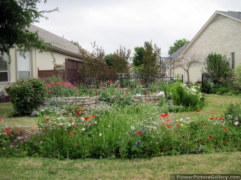 Flower Garden Between Two Homes