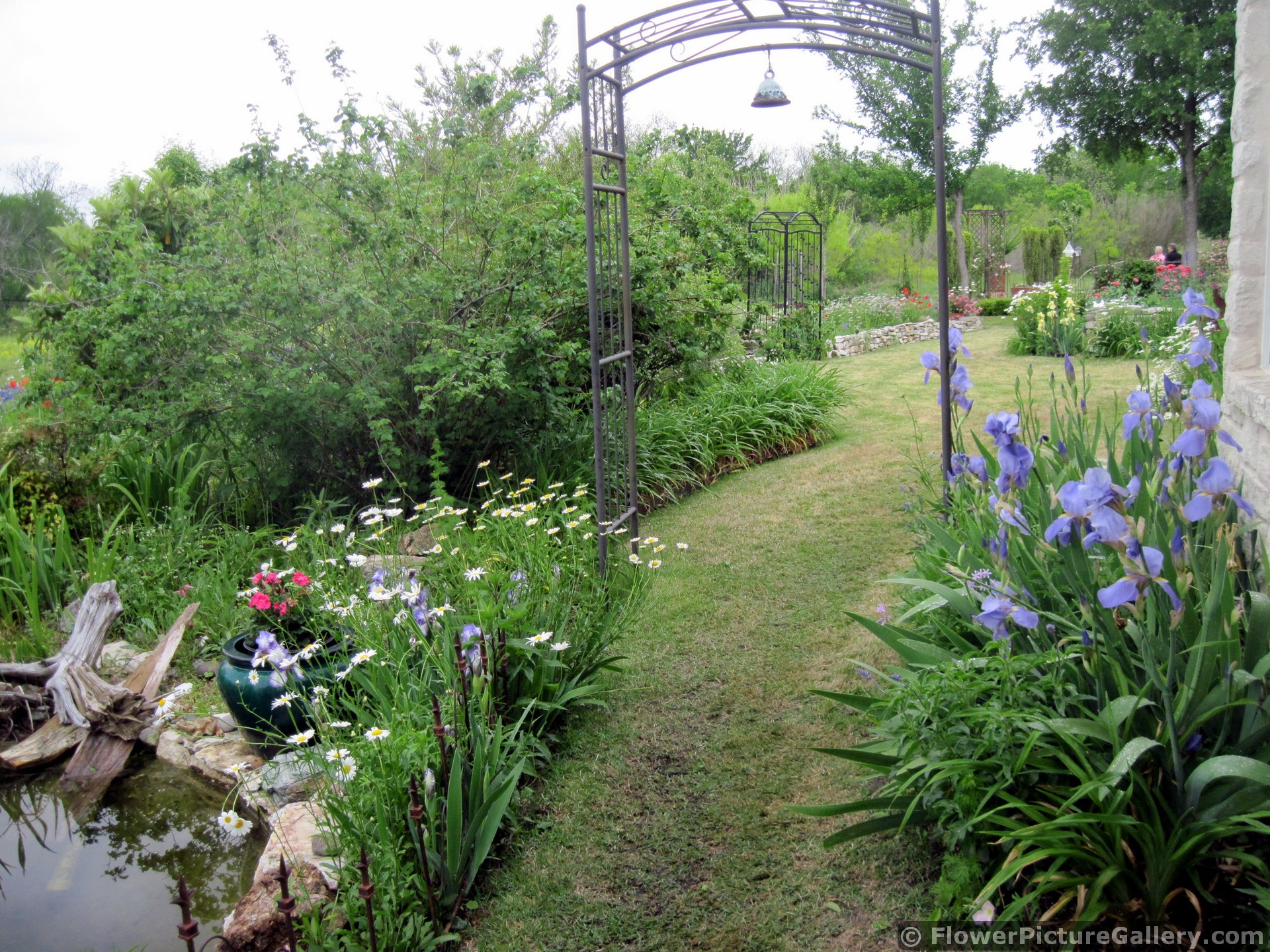 Garden Trellis Bordered by Beatiful Flowers