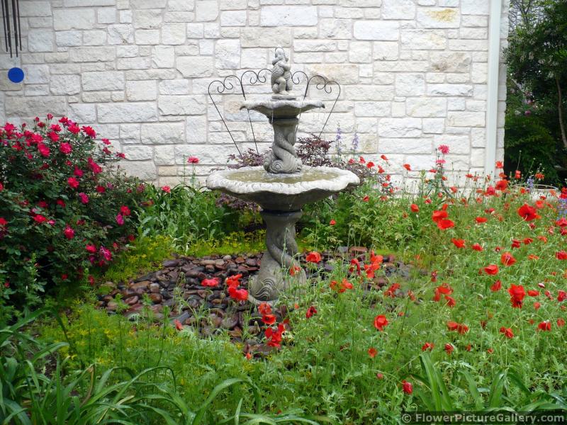 Home Garden Water Fountain Surrounded by Red Flowers