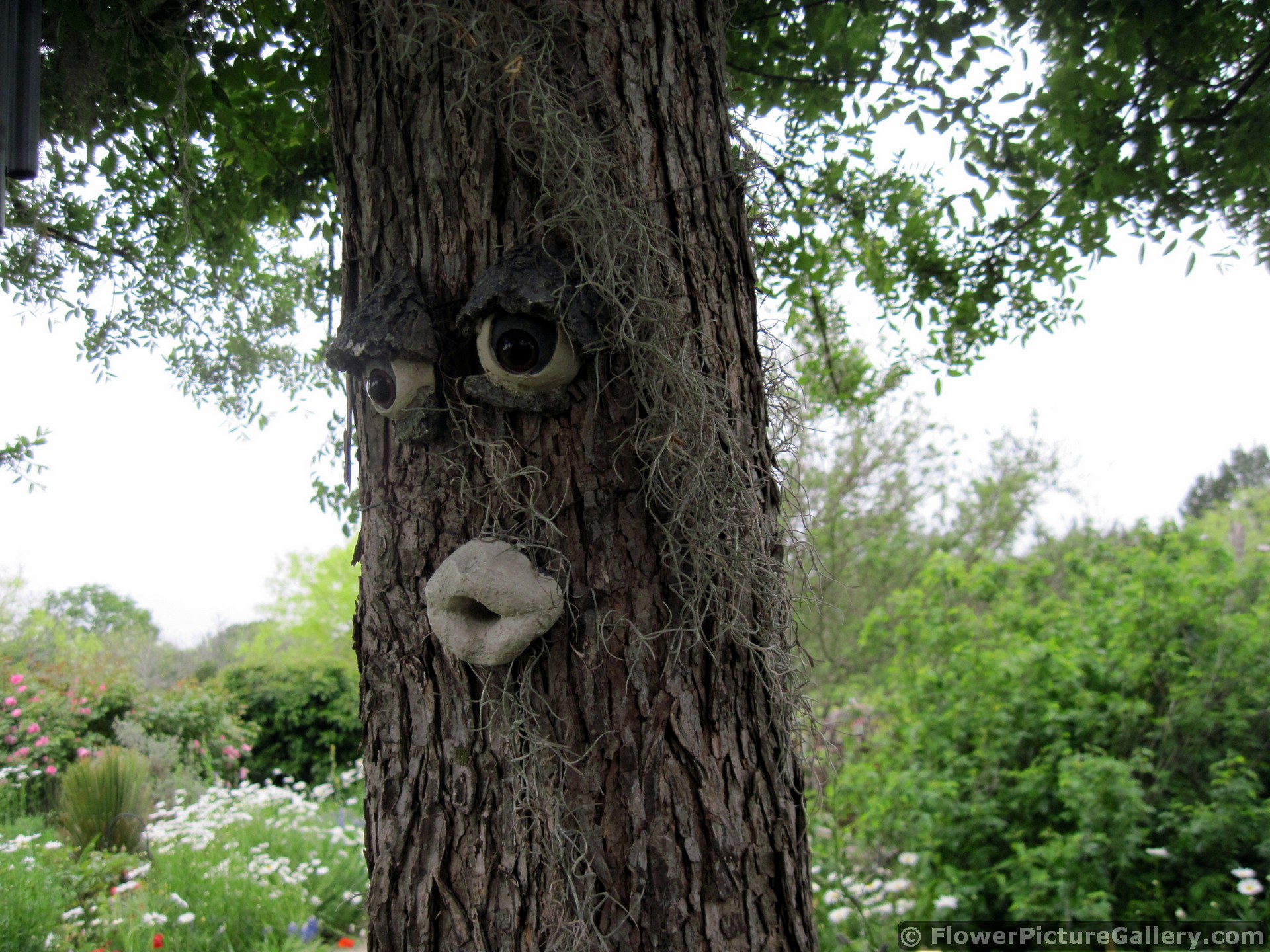 Tree with Eyes and Mouth Decor