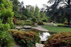 Kubota Garden Pictures